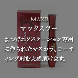 max2.jpg